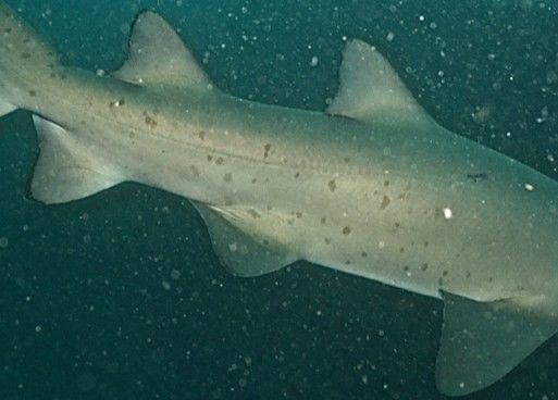 b26c4576-2aa9-4d19-915e-27951948e75f