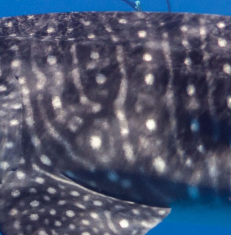 5ac80eb5-7ba8-47a4-b694-d82766787f7c