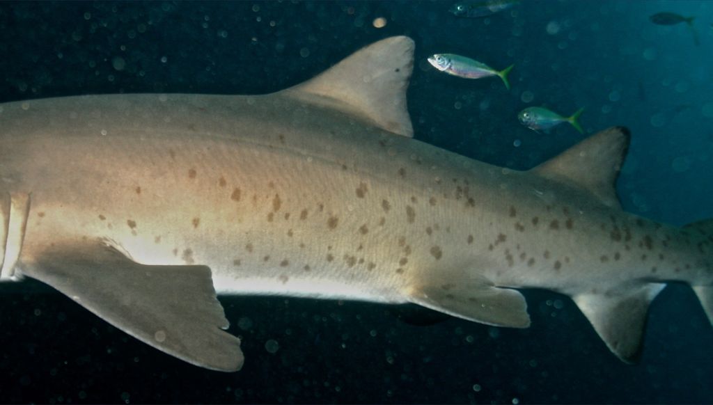 1bde0454-069a-4aa5-819a-f7fe4d3e1470