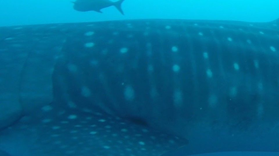 10946504-c7d8-4fa9-a760-facc8aa34885