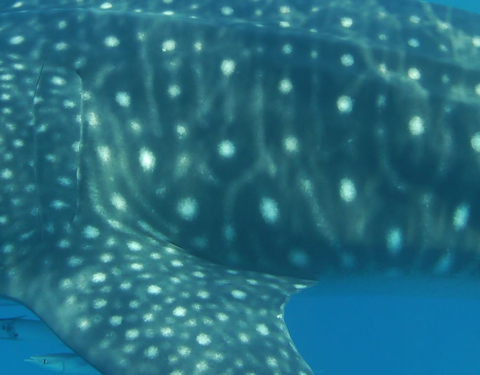 38ae76d9-f6db-41bc-9300-38a15ffb90e3