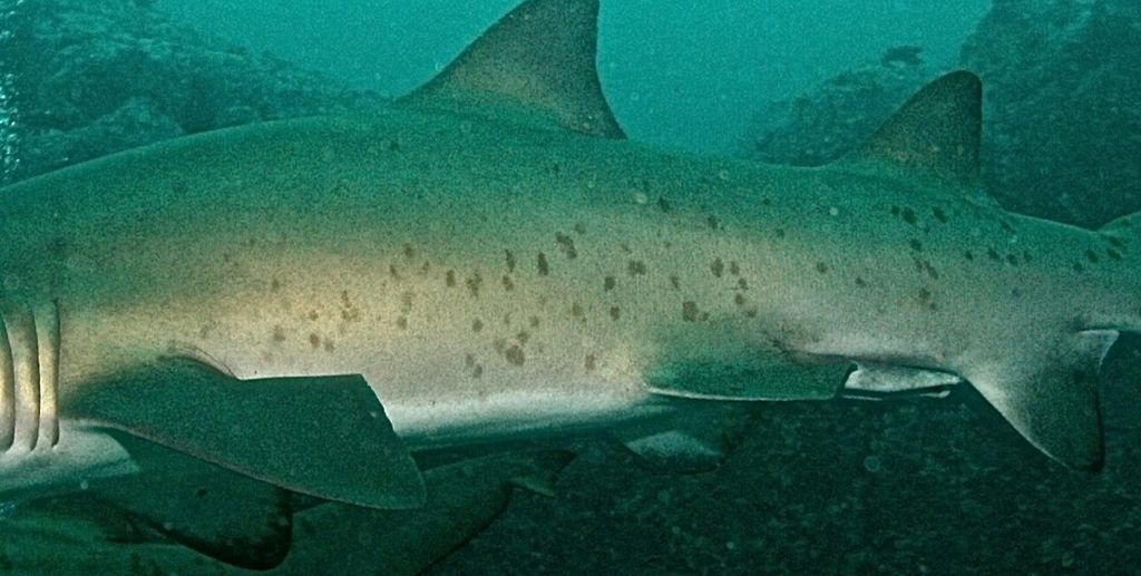 770056be-777c-4385-b4b7-7d89a7ed0e88