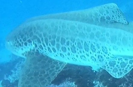 f1e55fd3-efa8-48df-a4e7-2c6819498473