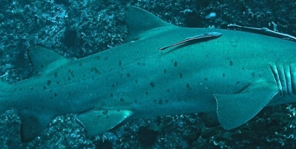 7453ef96-75a0-4cd6-96c3-a36ee489fa19