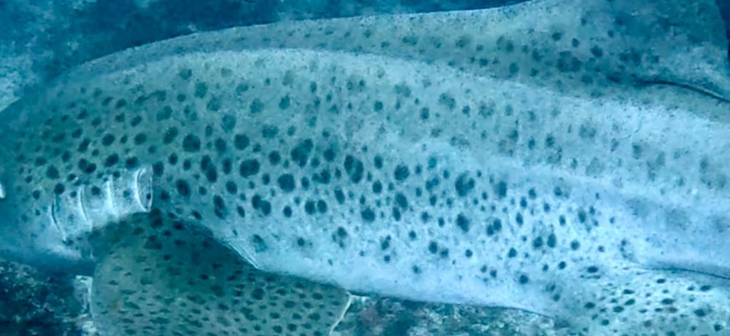 84bc55d0-b71f-4201-914f-e5893449a51e