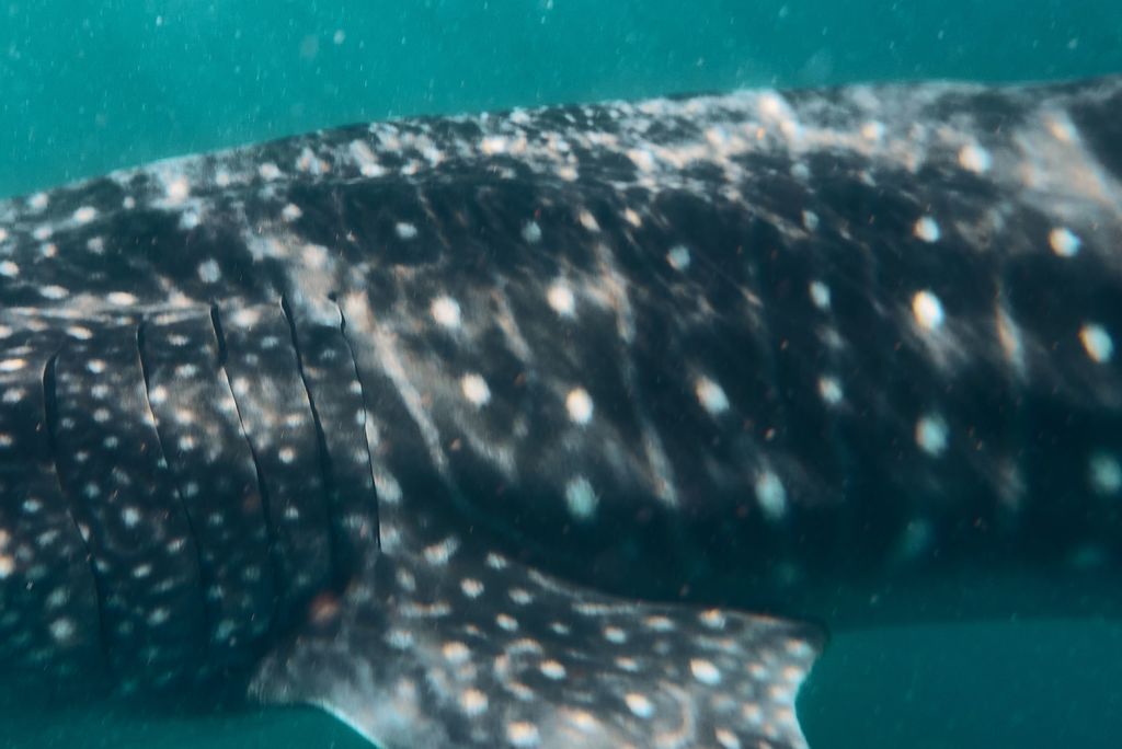 636642b4-fa0f-4a91-b2fc-2108de598870