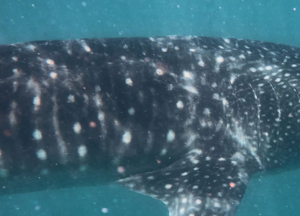 636642b4-fa0f-4a91-b2fc-2108de598870