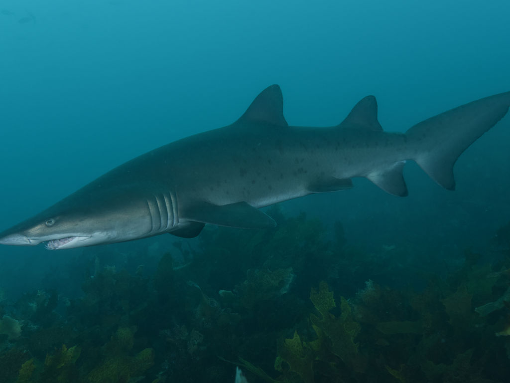 601c72c0-e2ce-4297-8ffa-417ad3bb3045