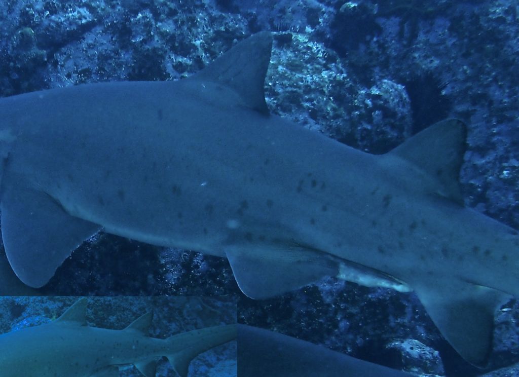 10858d8a-b7cf-4077-aa97-ecc41f50c614