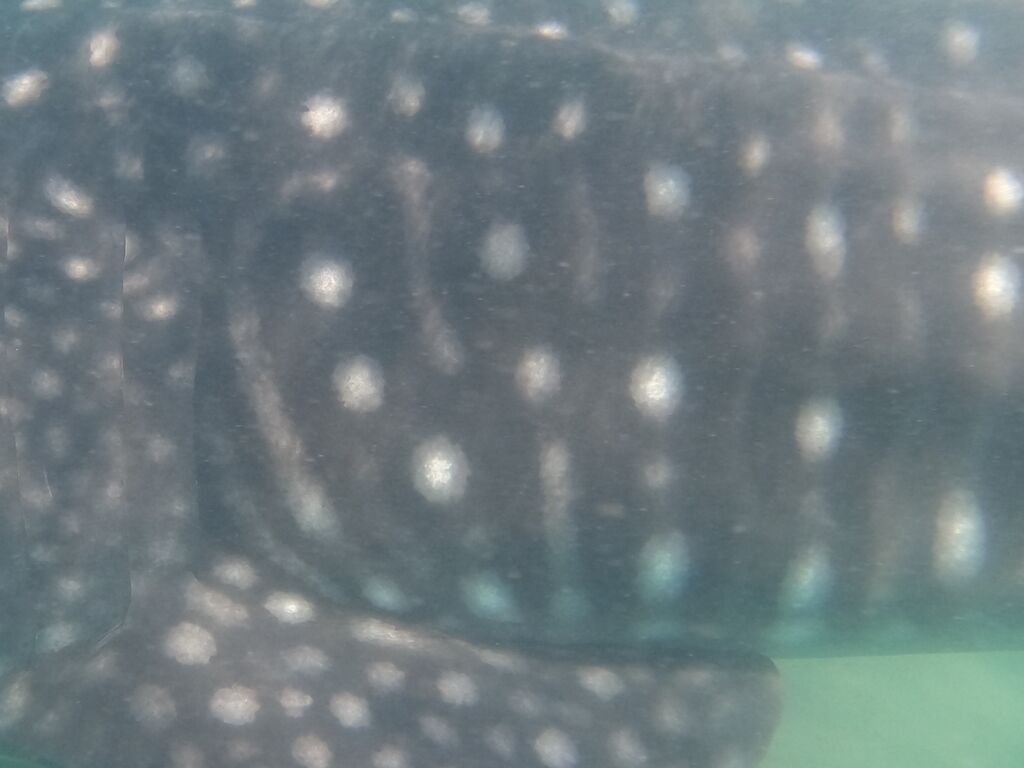 9b044b80-61c9-435f-a8a5-26ee35ef5665