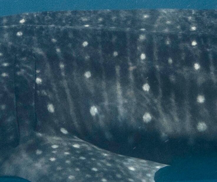 3f89834c-a32b-4dd0-928e-a911edc5b9b6