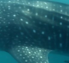 07b7975b-7bb2-48af-8eb6-e47bd445a6b4