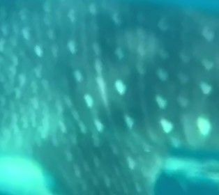 9f70089b-8e1b-48dc-a4ec-8bfa4d81e1dd