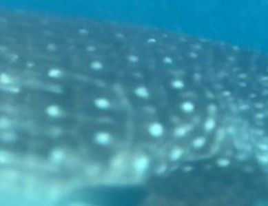 9f70089b-8e1b-48dc-a4ec-8bfa4d81e1dd