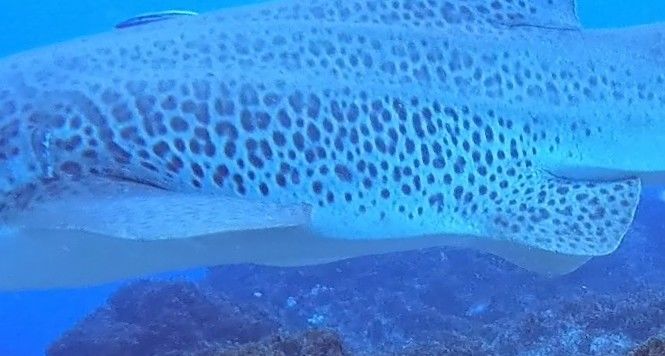 6d5ac39d-6179-4ebf-8fdb-00f763793a2f