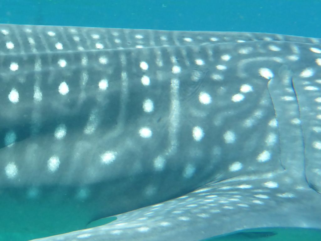 f114a0bb-6923-4e92-abbb-5aad7eaea357