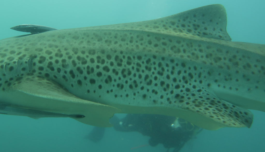 d1033600-38f9-42d9-8200-01b657eeba56