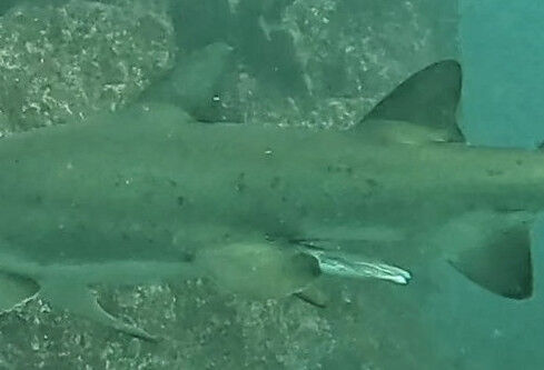 8ac55cd9-2477-41ba-bd10-320a83500efa