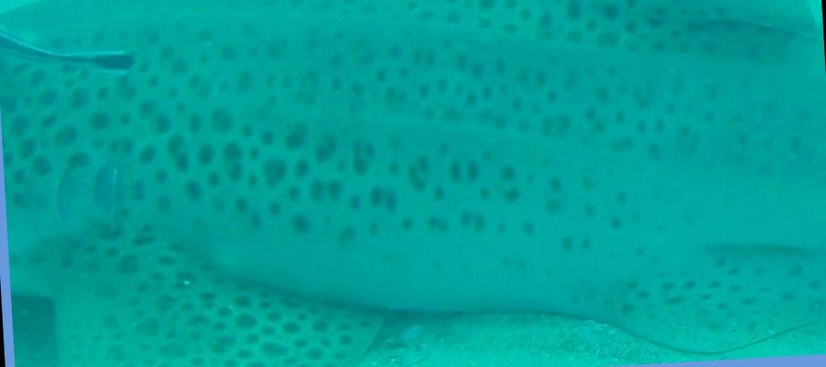 eeb3cab8-7fa5-4e65-a65f-86b4cfb1bec7