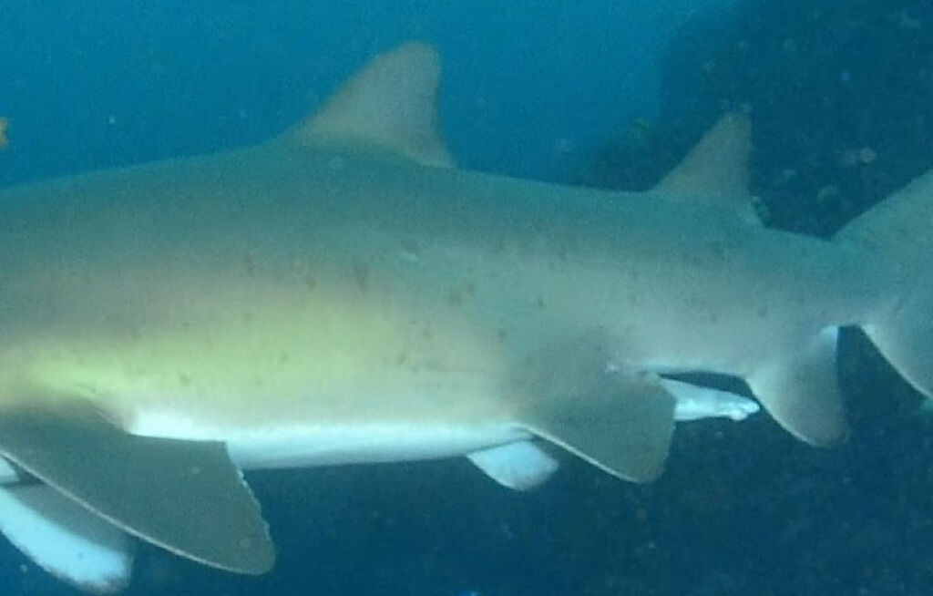 859c53c5-613f-4414-b48f-e8cb34320c8b