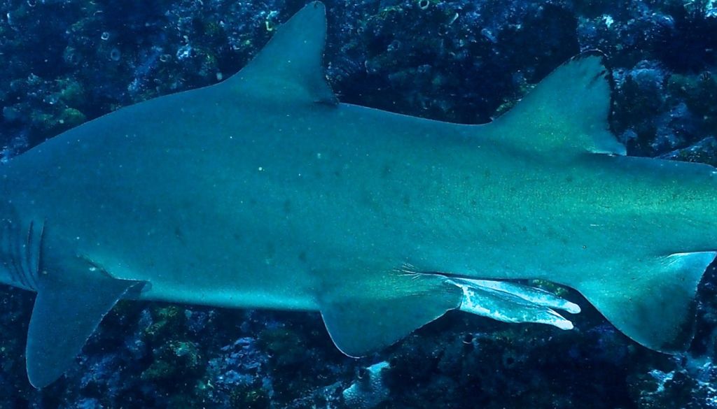 3f547966-7ef9-4f4a-9214-e25016be0390