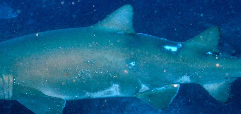 2b111575-0eb8-44b6-98a7-74fca564a6c7