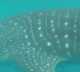 36883605-df04-44a6-bf7a-b61910f4e7c5