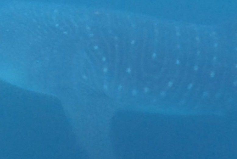 e27f5ba6-01ba-4359-a6fc-026f7e528ec3