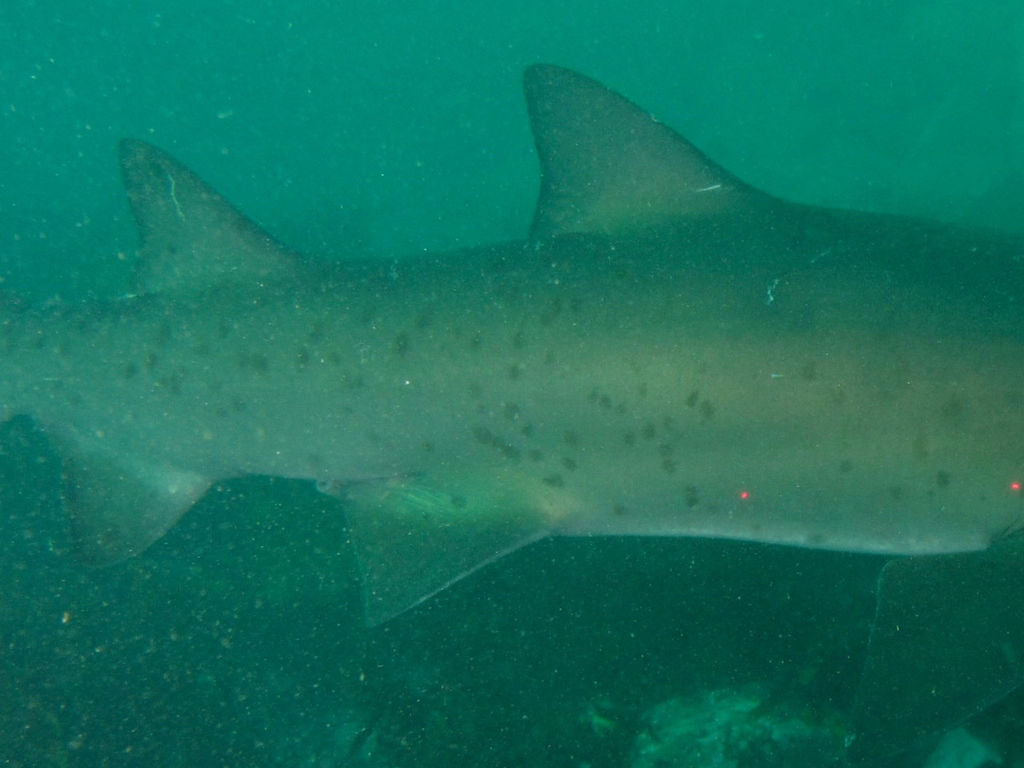 9095aa25-bf24-46d5-8c1a-cd38b8cd1e57