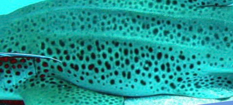 4d9b2a44-e5e0-458b-b15d-4c9417301232