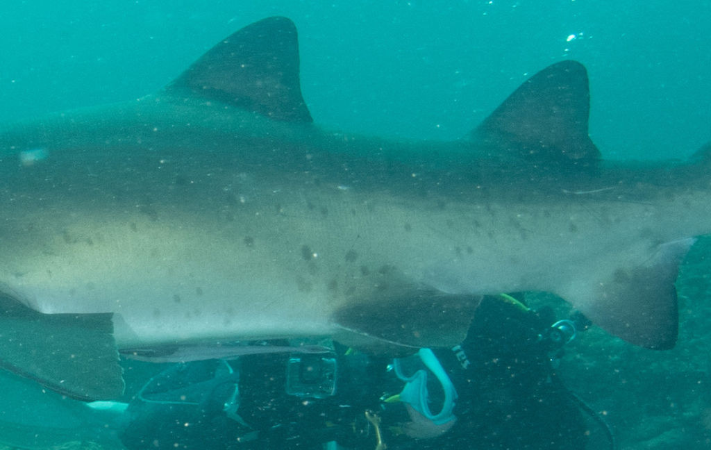 d3878503-c202-4cd0-af2f-47640f67b2aa