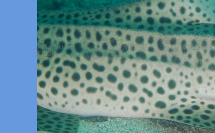 b13b3eaa-b7ac-4cb5-bb0a-807b340d6e7b