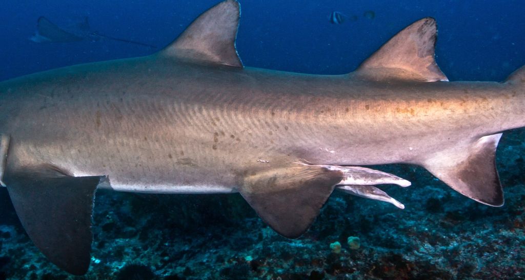 cecde9d4-6c6b-433f-9f8d-090fdf5f9548