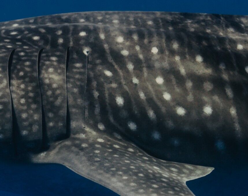 7430b944-dbcb-424f-bb3d-49f5a2bdb34f