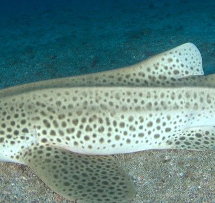 ca13dac3-babb-4a4e-9b70-5731f058892d