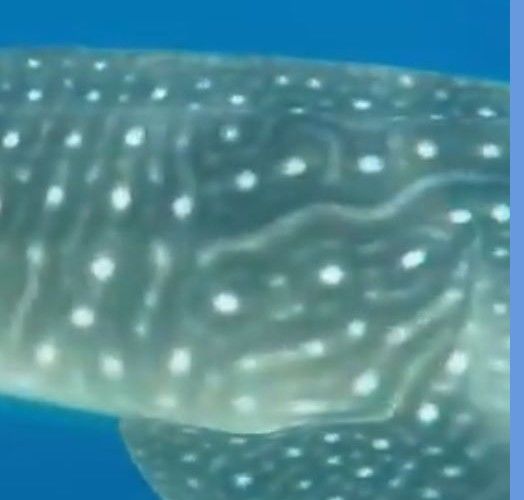 43548c6a-6acc-434c-9f18-f3cde2bee069