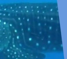 43548c6a-6acc-434c-9f18-f3cde2bee069