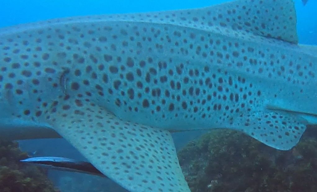 c4f39b7f-b056-431c-8f8e-b49d3ee7fb9a