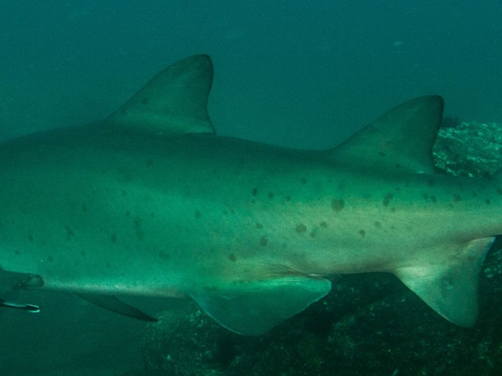 9737cbe0-1d0e-494f-a205-160decc9302e