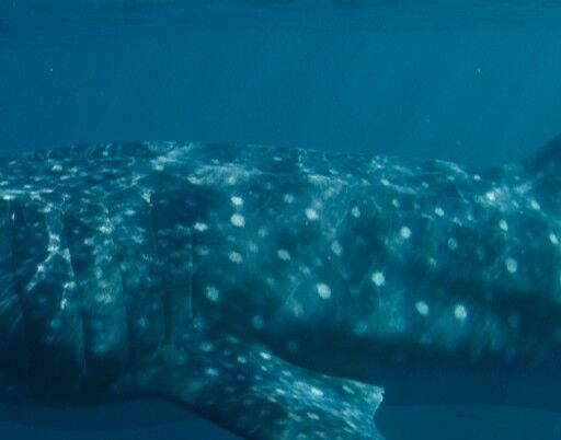 6508f6a5-ce55-4a7b-ac13-c0299c4e1d7c