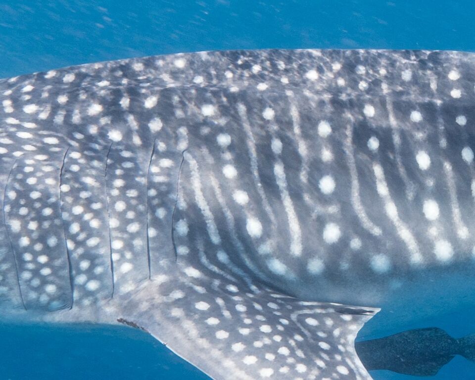 252ee35d-ff72-414f-b560-b1fe73ca0915