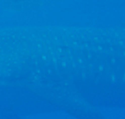 17230db0-b93a-43b3-b473-52ee6620608b