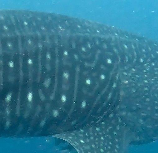 24e24c7b-23c4-429c-9e82-e3711a20eda2