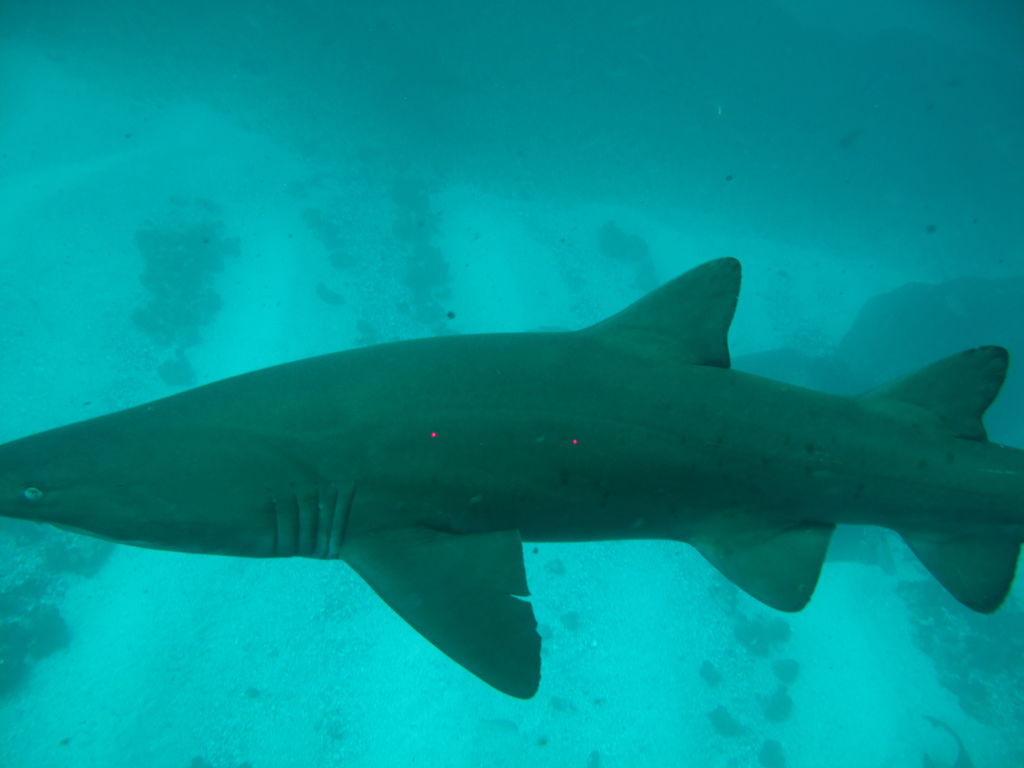 a73ebc95-1bfa-46c0-85b1-83bbb6d11224