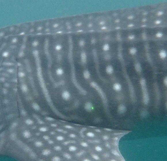 f5c70b60-d38f-4b32-8822-29dbedae690b