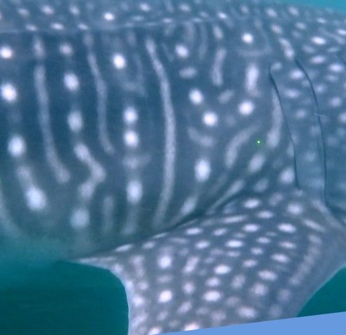 f5c70b60-d38f-4b32-8822-29dbedae690b