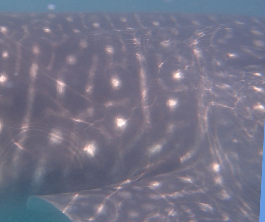 f3278745-e161-4d36-b13e-73c4c566d212