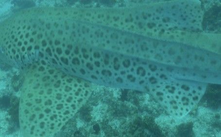 547c47e7-9133-4dc3-a432-b64d11e58686