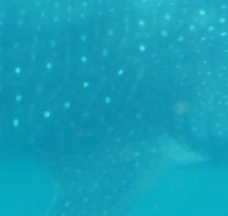 406077c8-25a9-4207-aadf-56e546024a2a