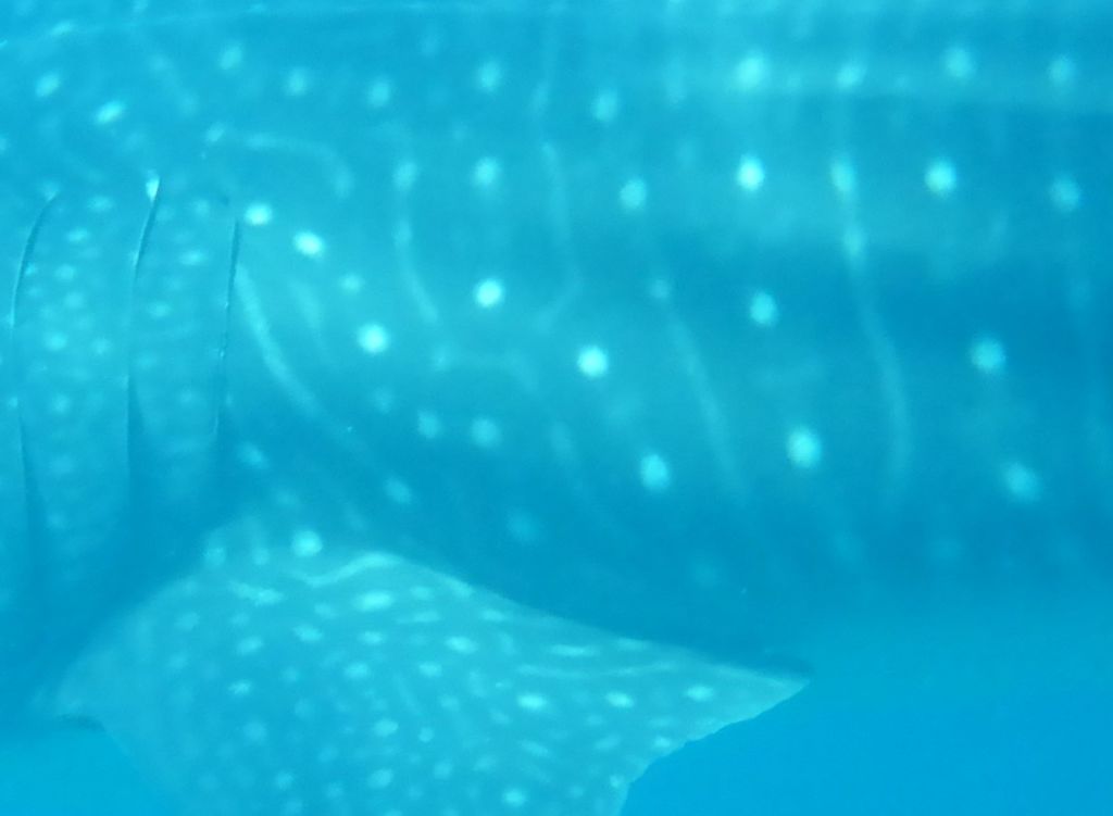 406077c8-25a9-4207-aadf-56e546024a2a